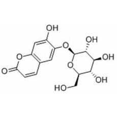 秦皮甲素