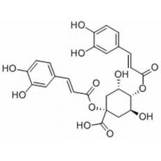 1,3-二咖啡?？鼘幩?洋薊素