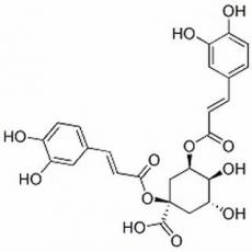 1,5-二咖啡?？鼘幩? width=