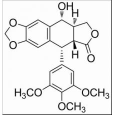 鬼臼毒素