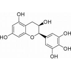 表沒食子兒茶素