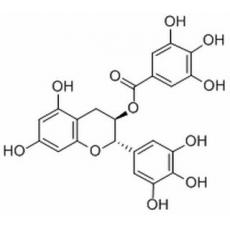 沒食子兒茶素沒食子酸酯