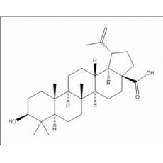 白樺脂酸