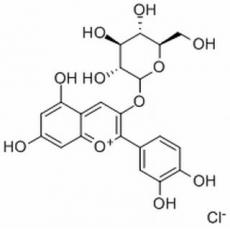 矢車菊素-3-O-葡萄糖苷