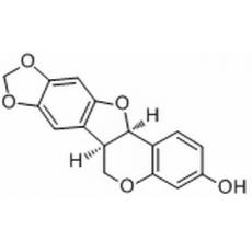 高麗槐素