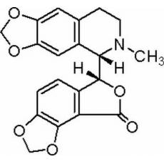 比枯枯靈