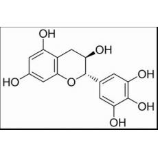 沒食子兒茶素