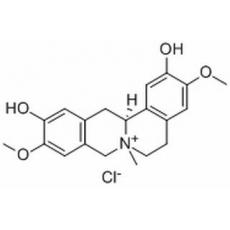 鹽酸黃柏堿