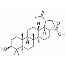 表白樺脂酸