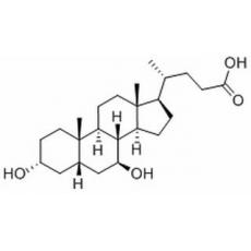 熊去氧膽酸