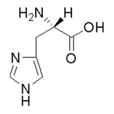  L-組氨酸