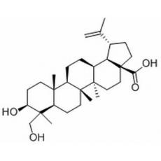 23-羥基白樺酸