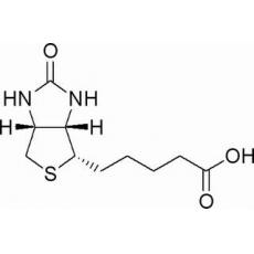 D-生物素