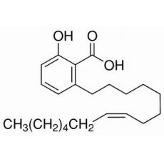 白果酸