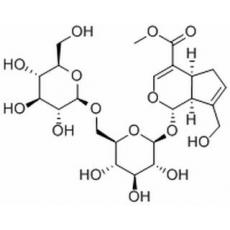 京尼平龍膽雙糖苷