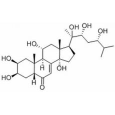 漏蘆甾酮