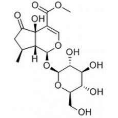 5-羥基馬鞭草苷