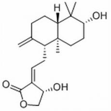 去氧穿心蓮內(nèi)酯