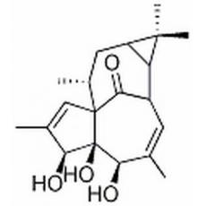  20-去氧巨大戟萜醇
