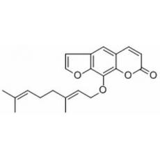 8-香葉草氧基補骨脂素