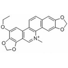 乙氧基血根堿