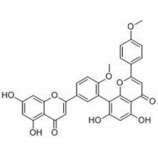 異銀杏雙黃酮