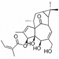 巨大戟醇-3-O-當歸酸酯