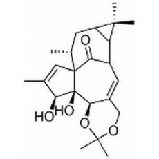 巨大戟醇-5,20-縮丙酮