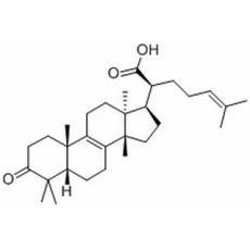 欖香酮酸