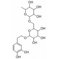 連翹酯苷E