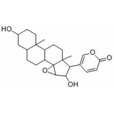 去乙酰華蟾毒精