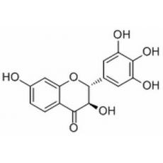 刺槐亭