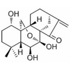 疏展香茶菜寧 A