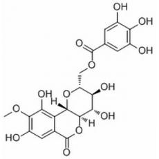 11-O-沒(méi)食子酰巖白菜素