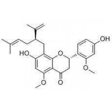 2'-O-Methylkurarinone