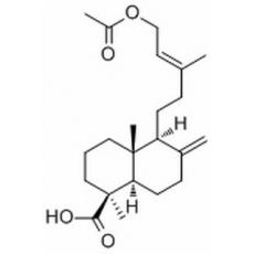 乙?；惏叵┧? width=