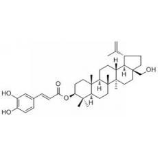 咖啡酸樺木醇酯