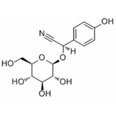 Taxiphyllin