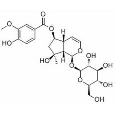 6-O-香草?；罟遣荽? width=