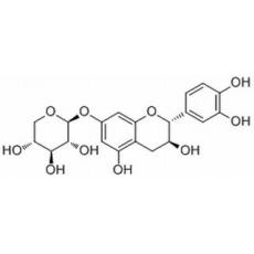 7-木糖苷兒茶酚