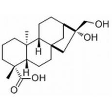 等效-16beta,17-二羥基-19-異貝殼杉烷酸