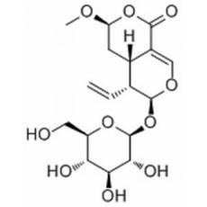 表斷馬錢子甙半縮醛內(nèi)酯