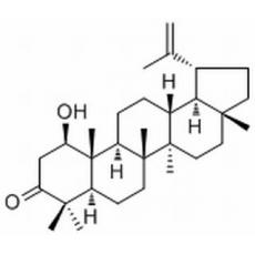 算盤子酮醇