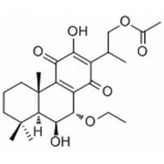 紋香茶菜 F