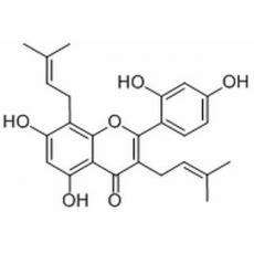 桑皮黃素，桑黃酮