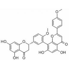 20-Deoxyingenol 3-angelate