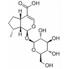 8-Epideoxyloganic acid