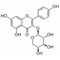 堪非醇 3-O-阿拉伯糖苷