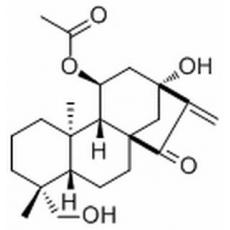 葉含乙酰癭花香茶菜素 A