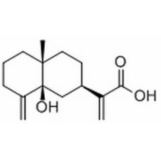 5β-Hydroxycostic acid